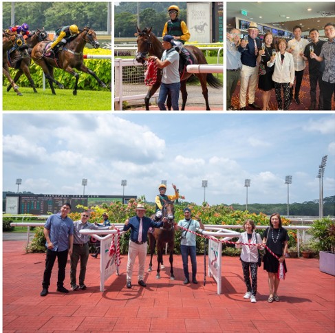 Sweet N Sour, with Bernardo Pinheiro, snatches a nose victory in the Class 5 Golden Monkey 2023 Stakes,
marking TOAST's final win in Singapore racing.
(photo: sgracingphoto)