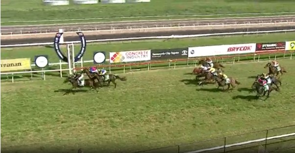 Obviously Good delivers a win in the Donoghue Property Valuations Mdn Plate on a Heavy track at Tamworth.
